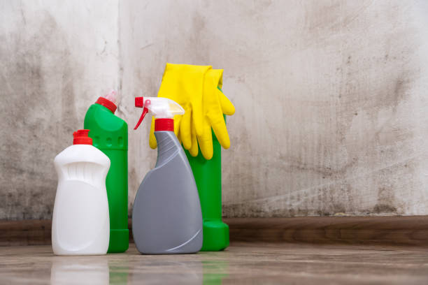 Best Mold Odor Removal Services  in Valley Mills, TX